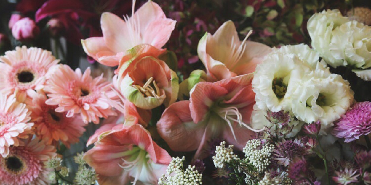 _emmalauren's profile banner image