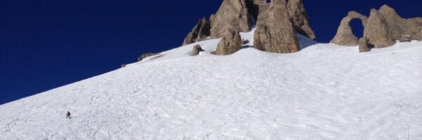 Kay_Polley Profile Banner