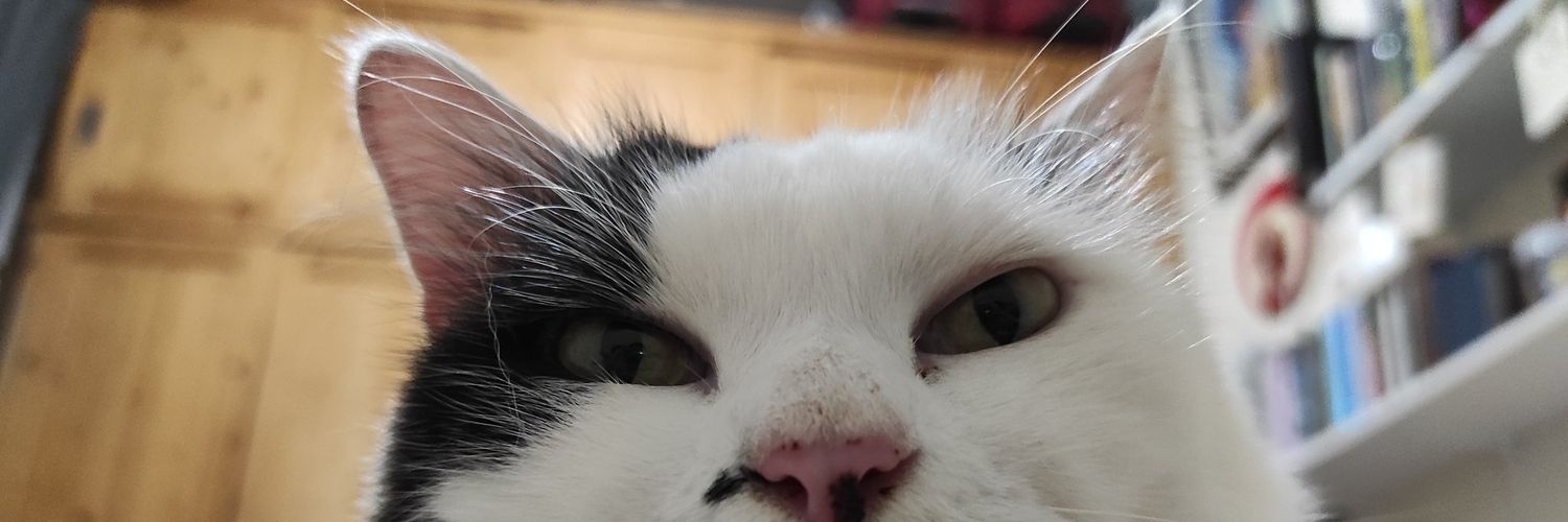 _dytz's profile banner image