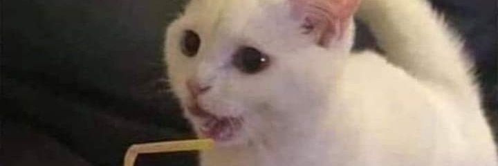 monimendozav's profile banner image