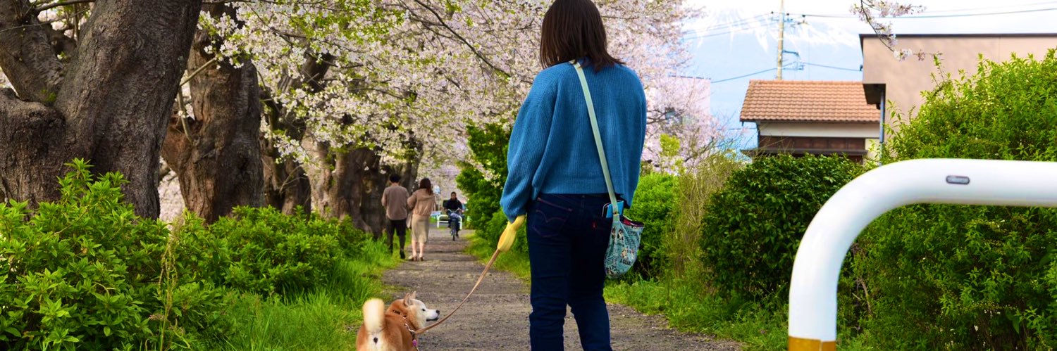 suwa11's profile banner image