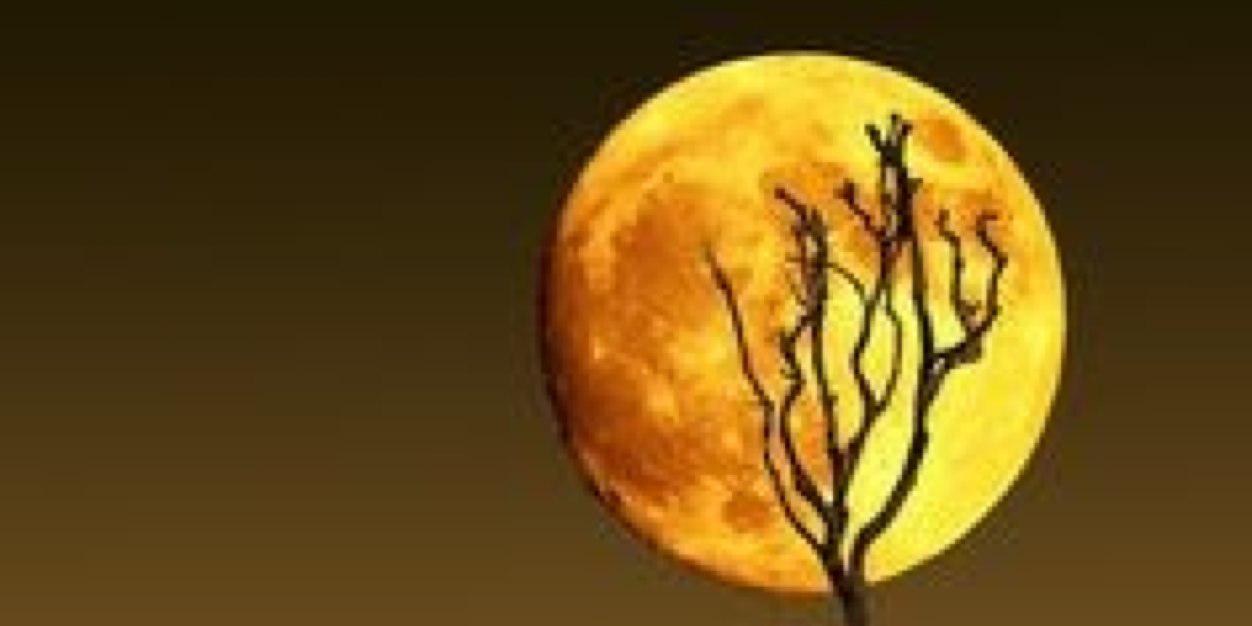 sameerprit's profile banner image