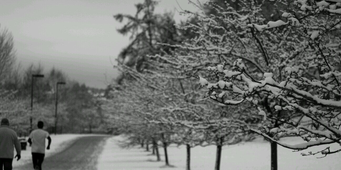 CTadlockPhoto's profile banner image
