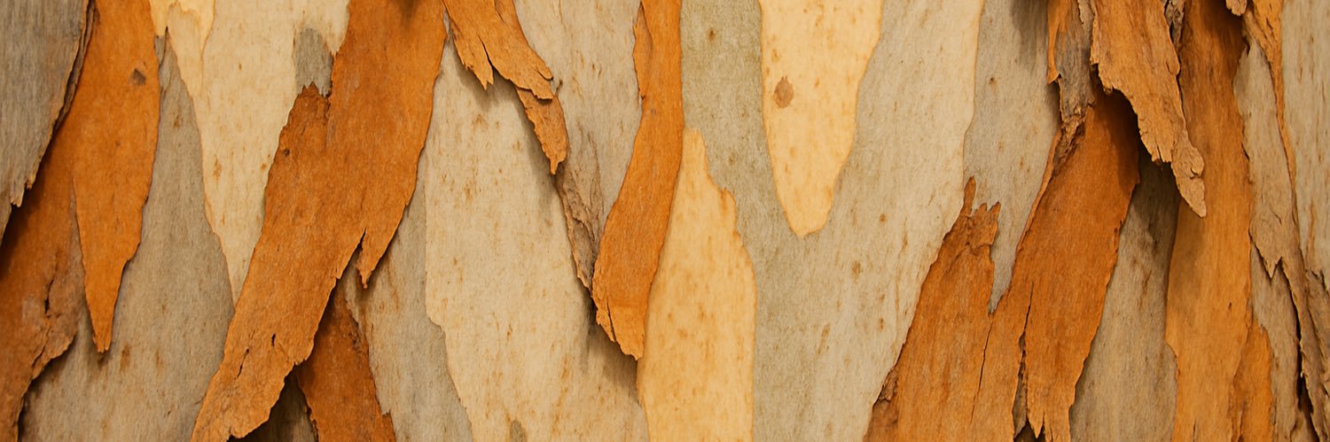 Charles Coverdale banner