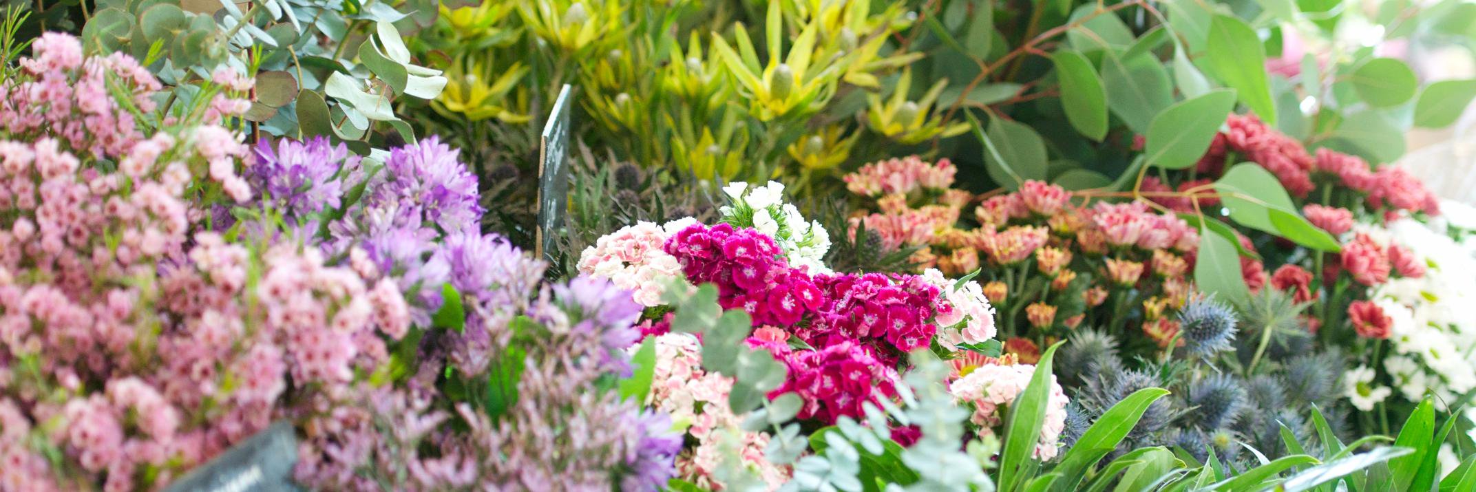 poundburyfleur's profile banner image