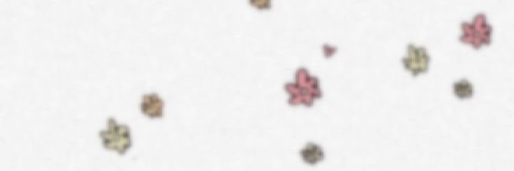klizethp's profile banner image