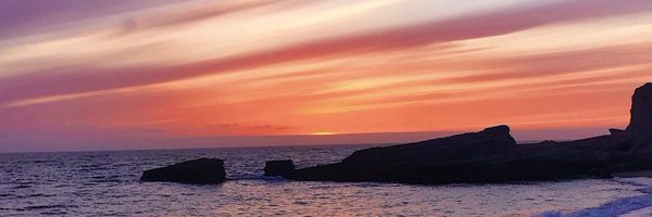 nicoleliddlee Profile Banner