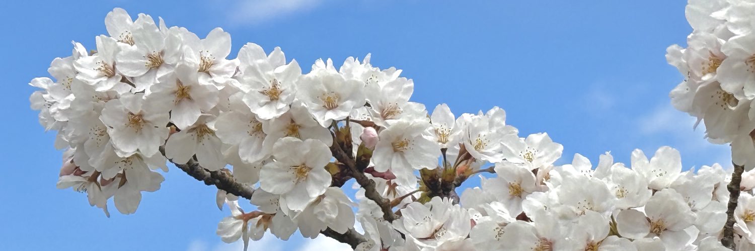 vuafsky1's profile banner image