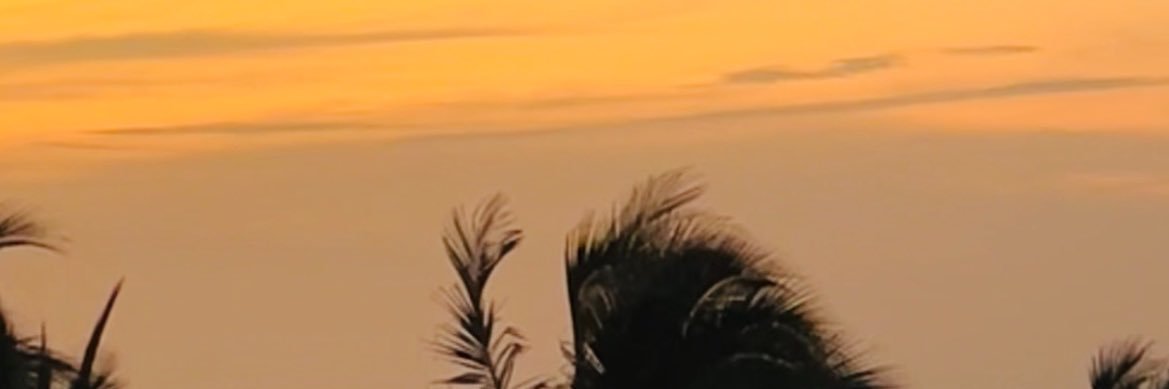 Massiblo's profile banner image