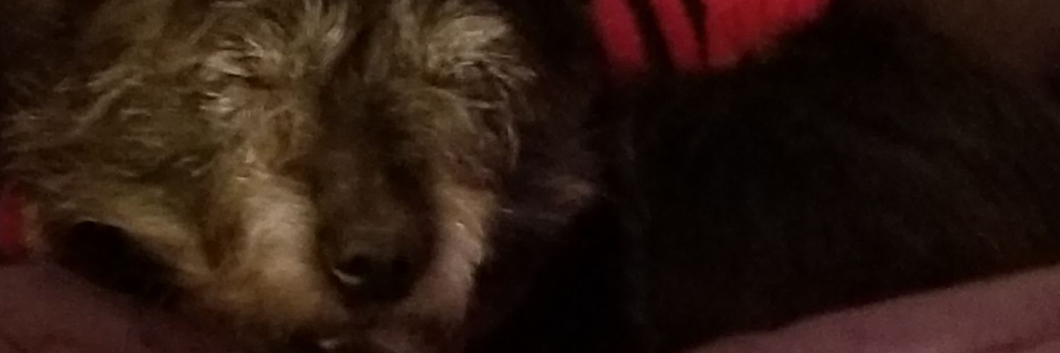 vickircook's profile banner image