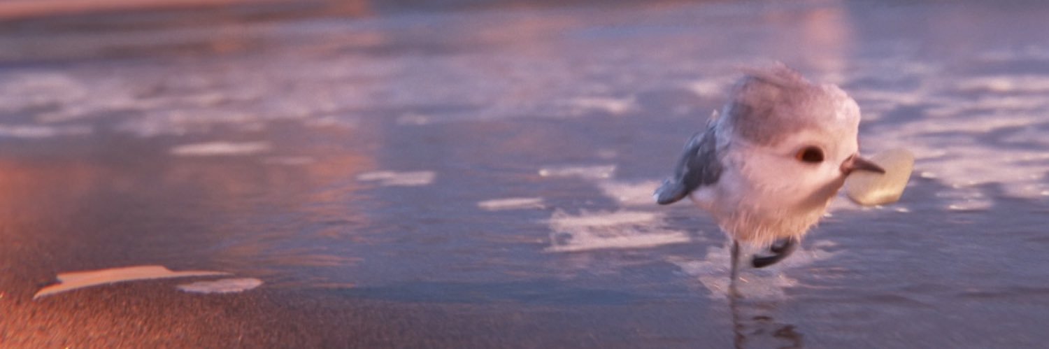 Wococot's profile banner image