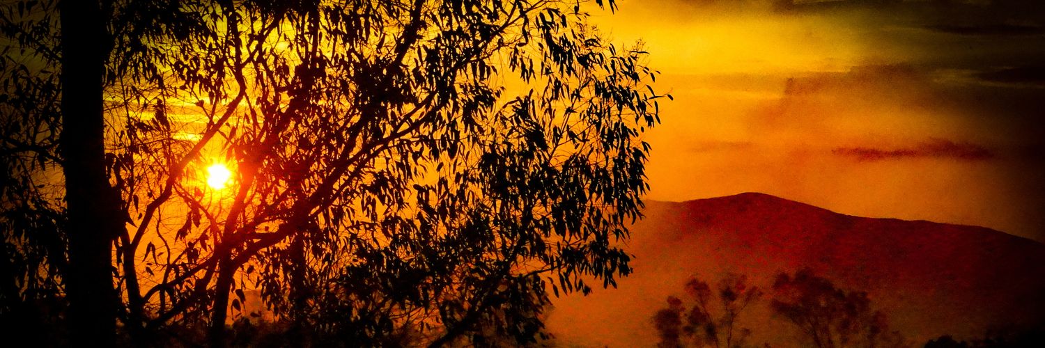 ufonness's profile banner image