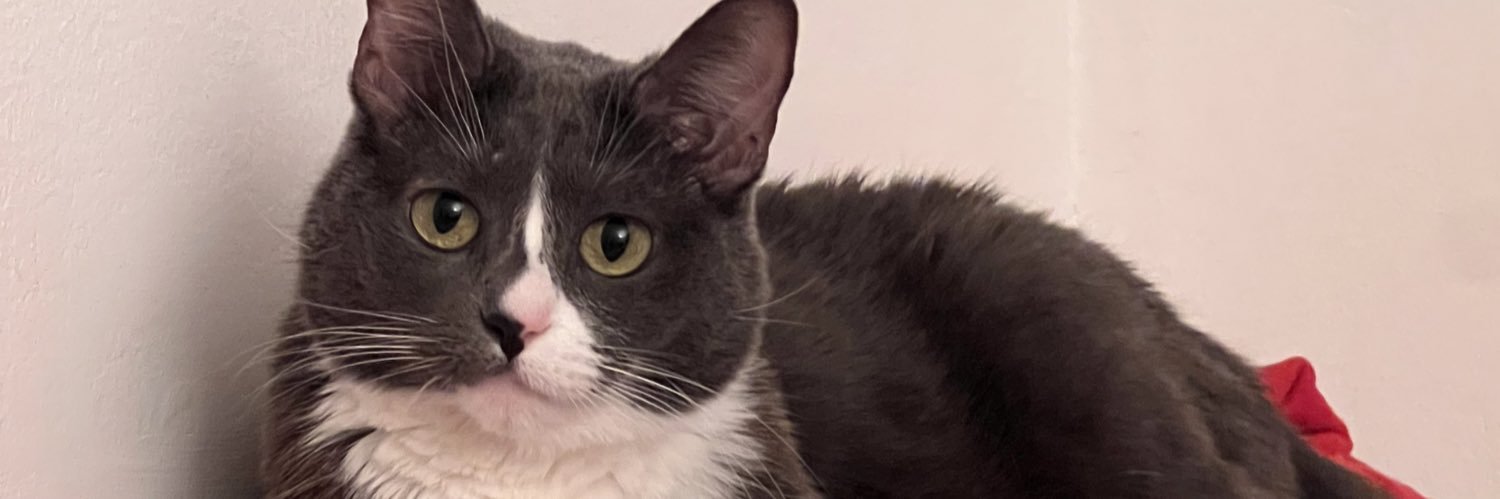 pathologicalgf's profile banner image