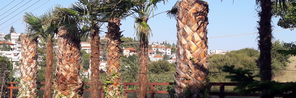 KostasMisialis's profile banner image