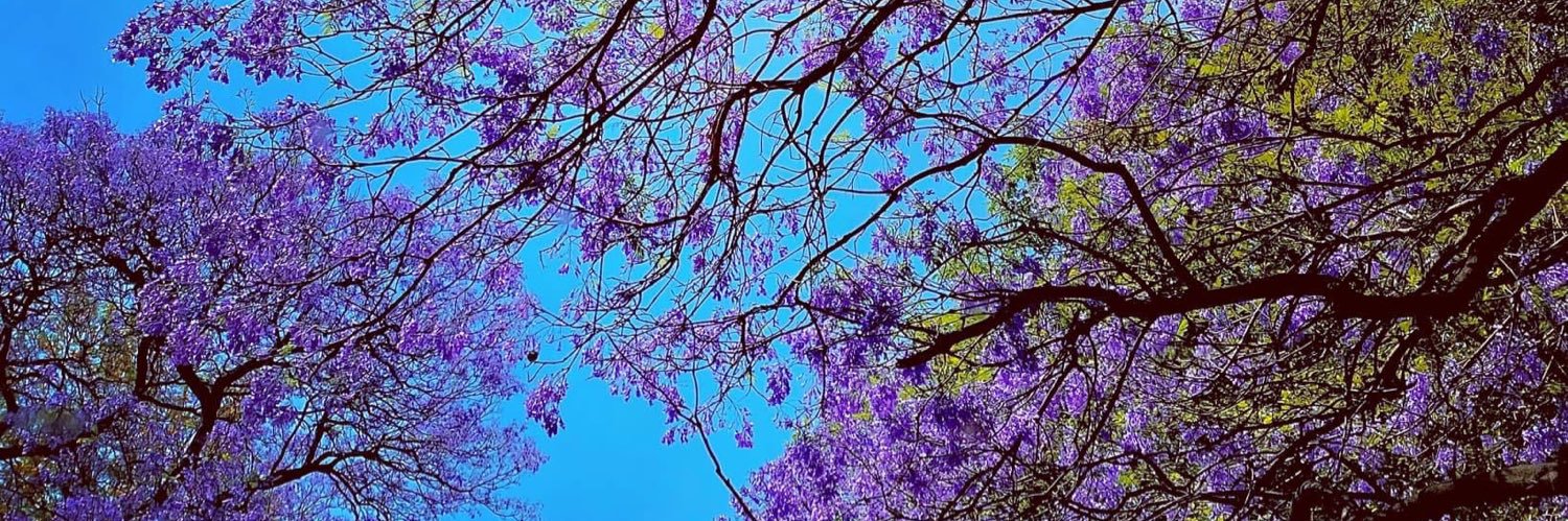 Catin23's profile banner image
