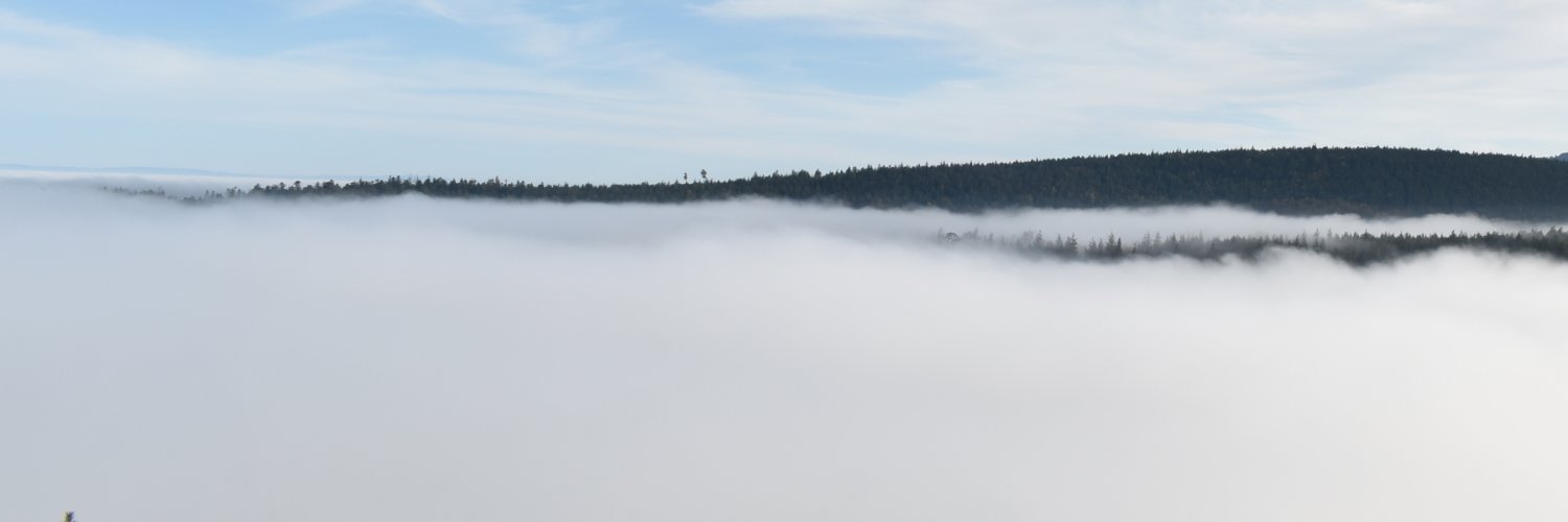 downtownmoorea's profile banner image