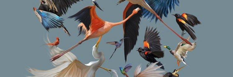 ed_alaniz's profile banner image