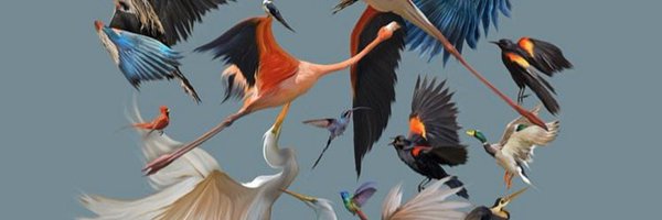 ed_alaniz Profile Banner