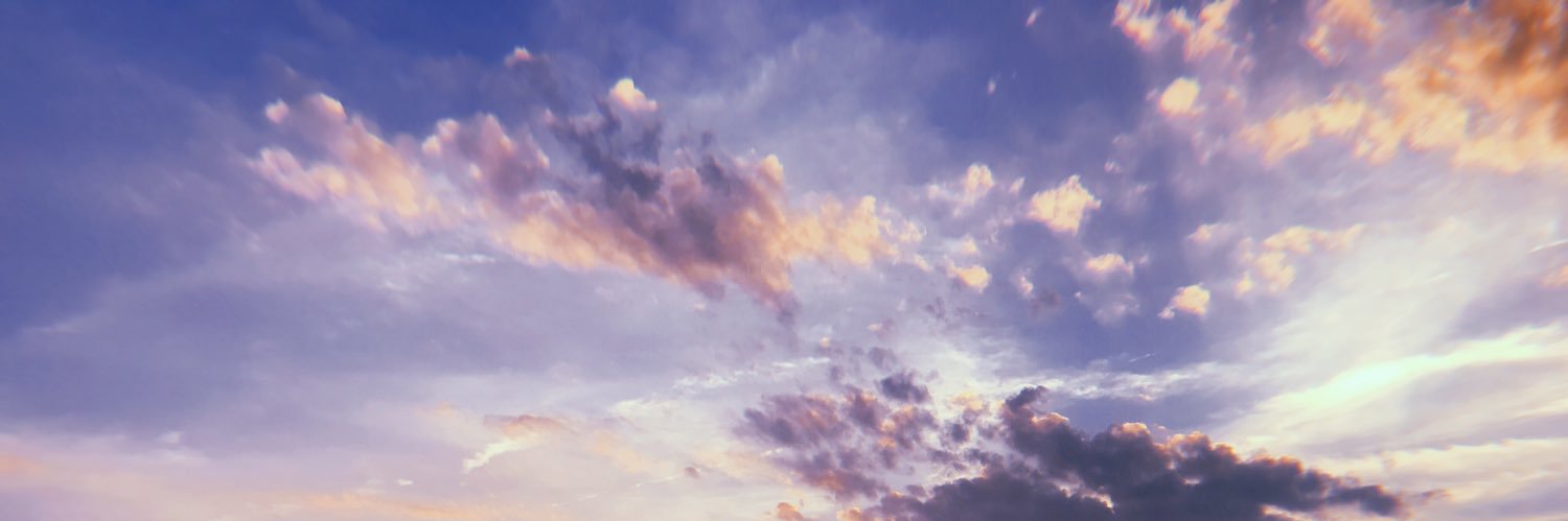 bunnieschu's profile banner image