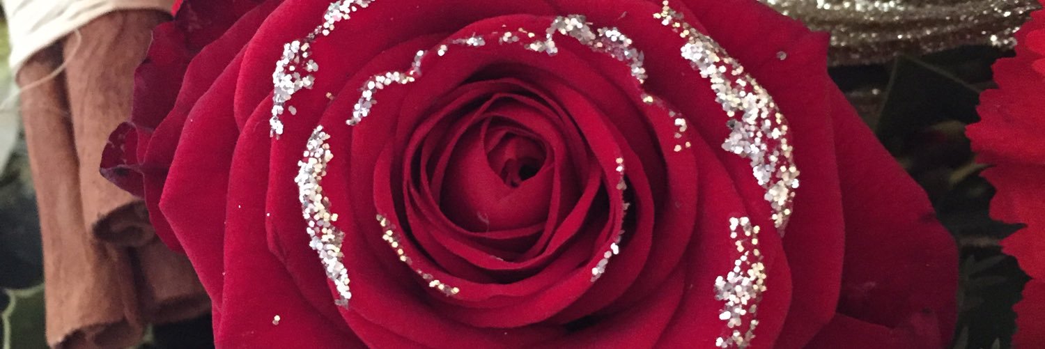 HopeKayleigh's profile banner image