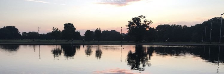 Dan banner