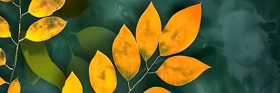 UmarCuler's profile banner image