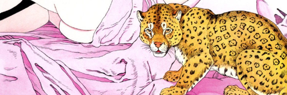 白石ポピー banner