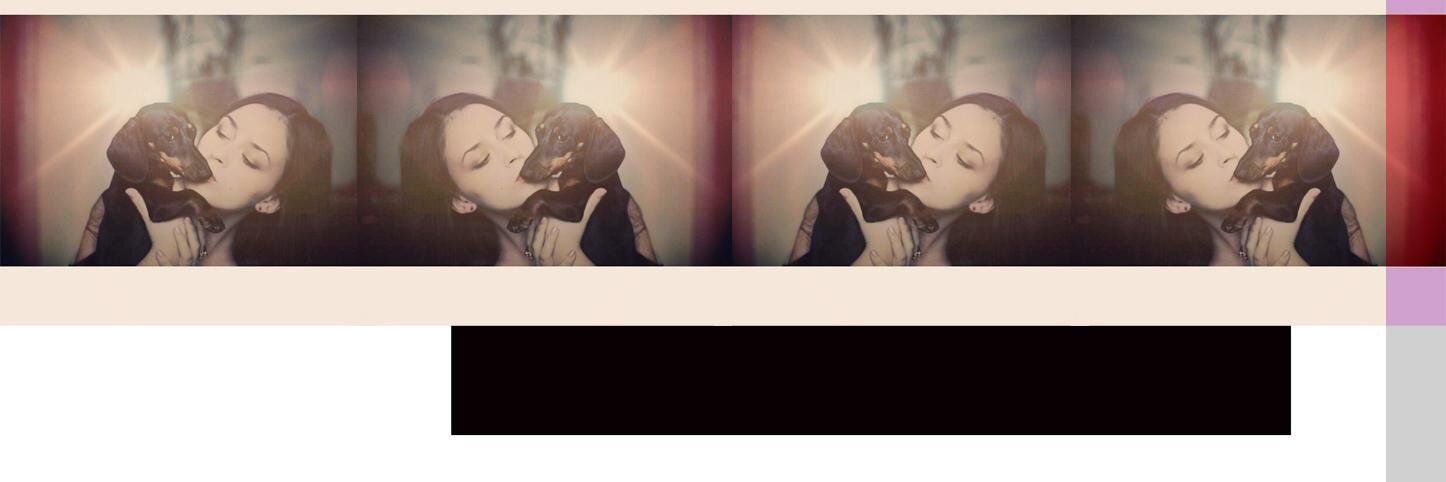 violet_sonne's profile banner image