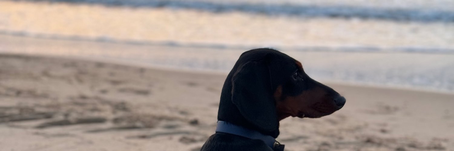 callmecassou's profile banner image