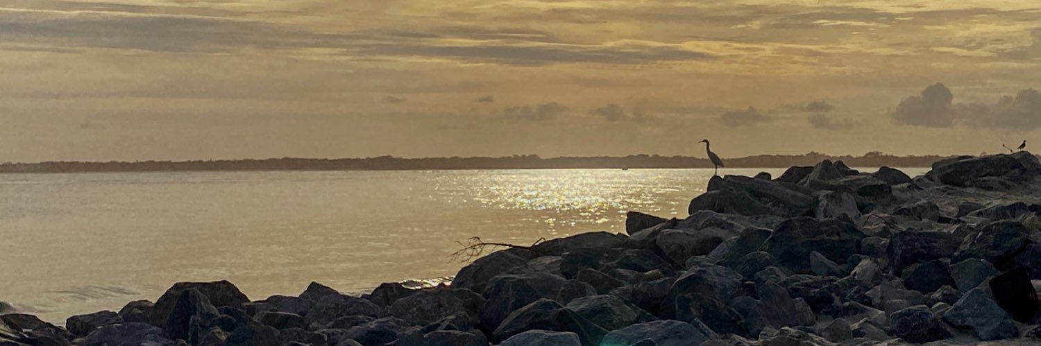 melanieanan's profile banner image