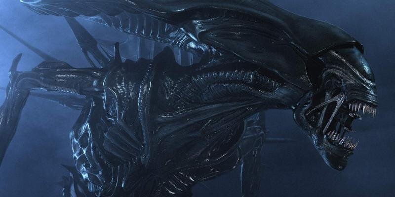 wedgeGTX's profile banner image
