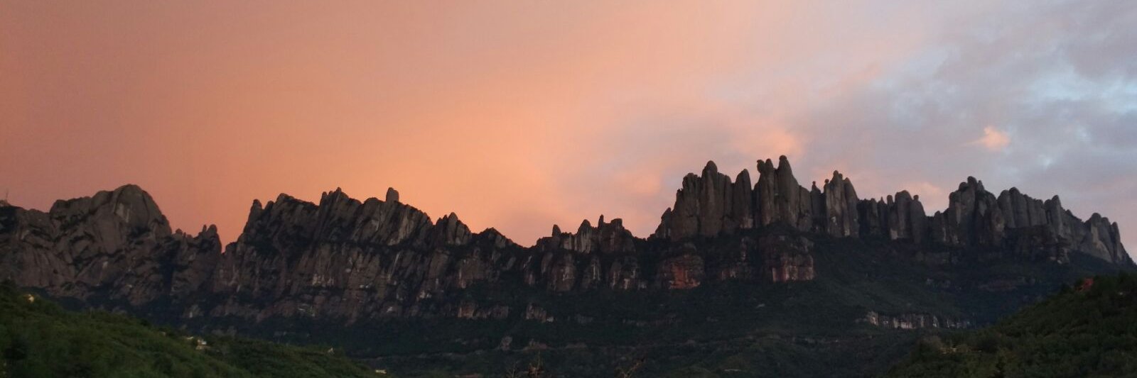 Imma Badia🌷 banner