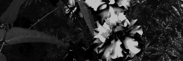 NotFound66666 Profile Banner