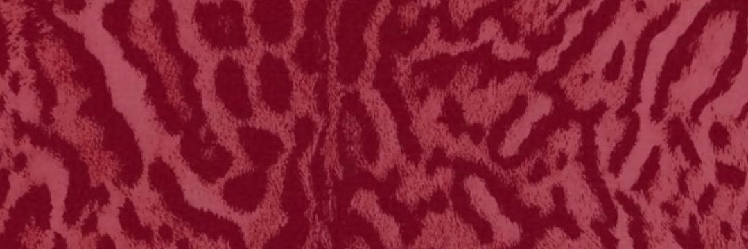 jazzolivia08's profile banner image