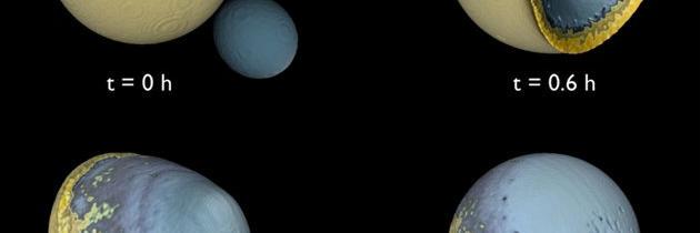 mpicciotto's profile banner image
