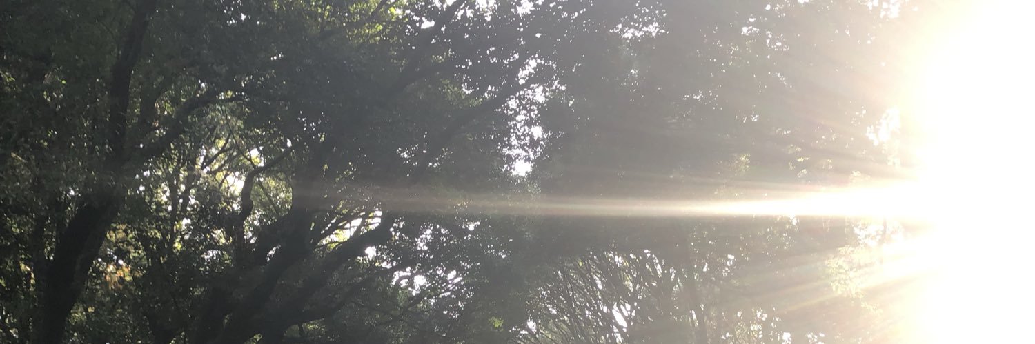 MhKkntD2's profile banner image