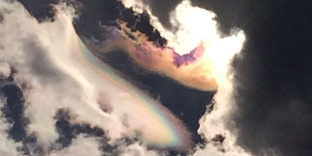 loisseco's profile banner image