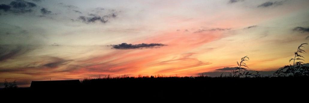 James Allison banner