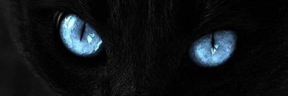 _aucin's profile banner image