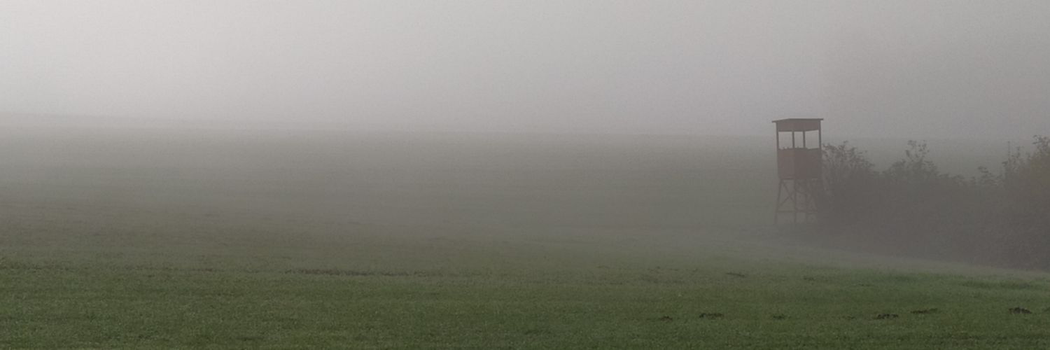 Fragmenti's profile banner image