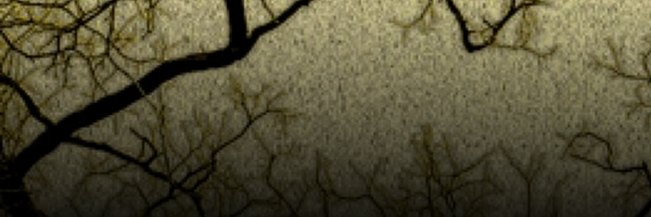 ColinEberhardt Profile Banner