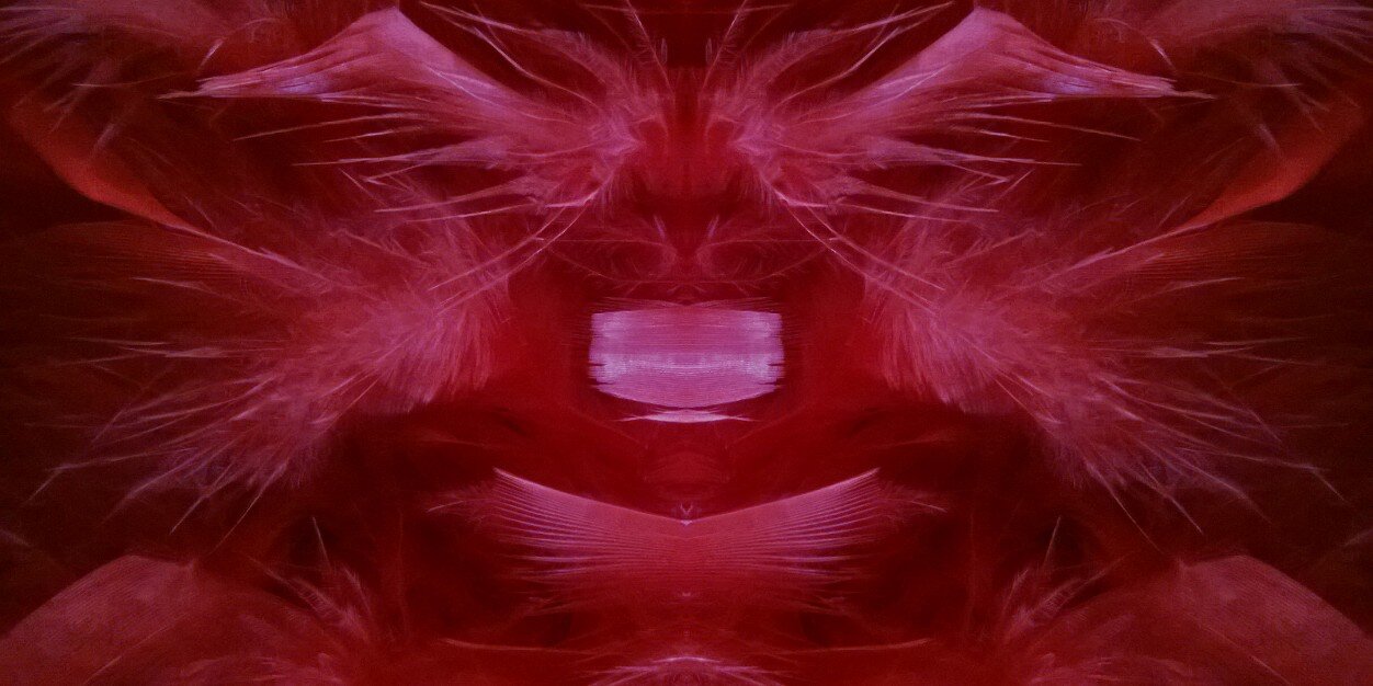 sosuecat's profile banner image