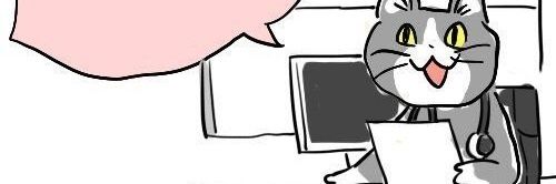 kensuke11051's profile banner image