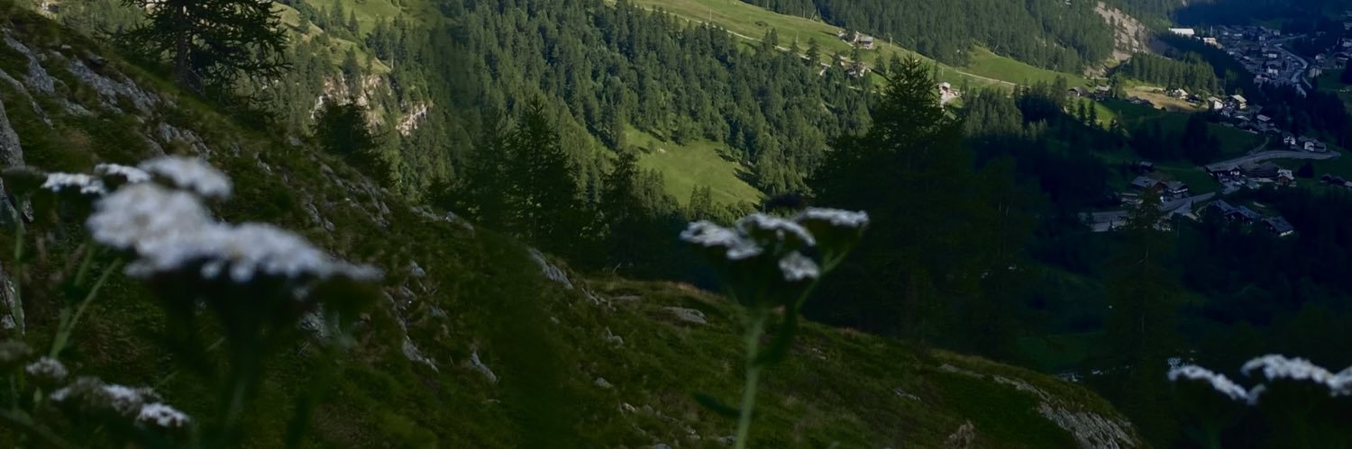 xnickgrant's profile banner image