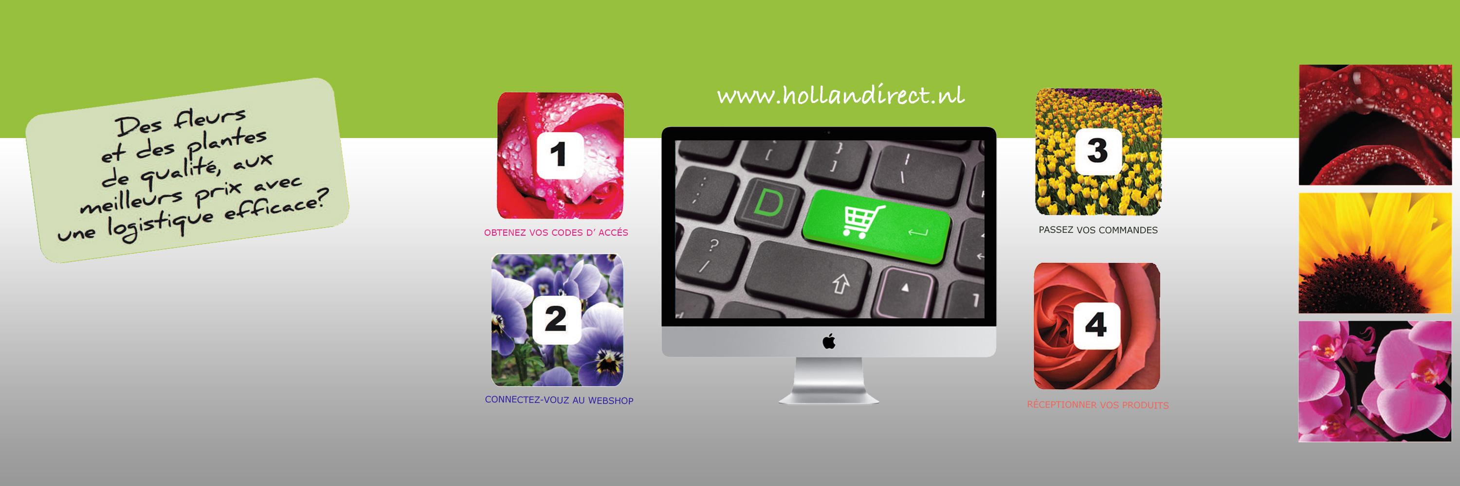 Hollandirect fleurs banner