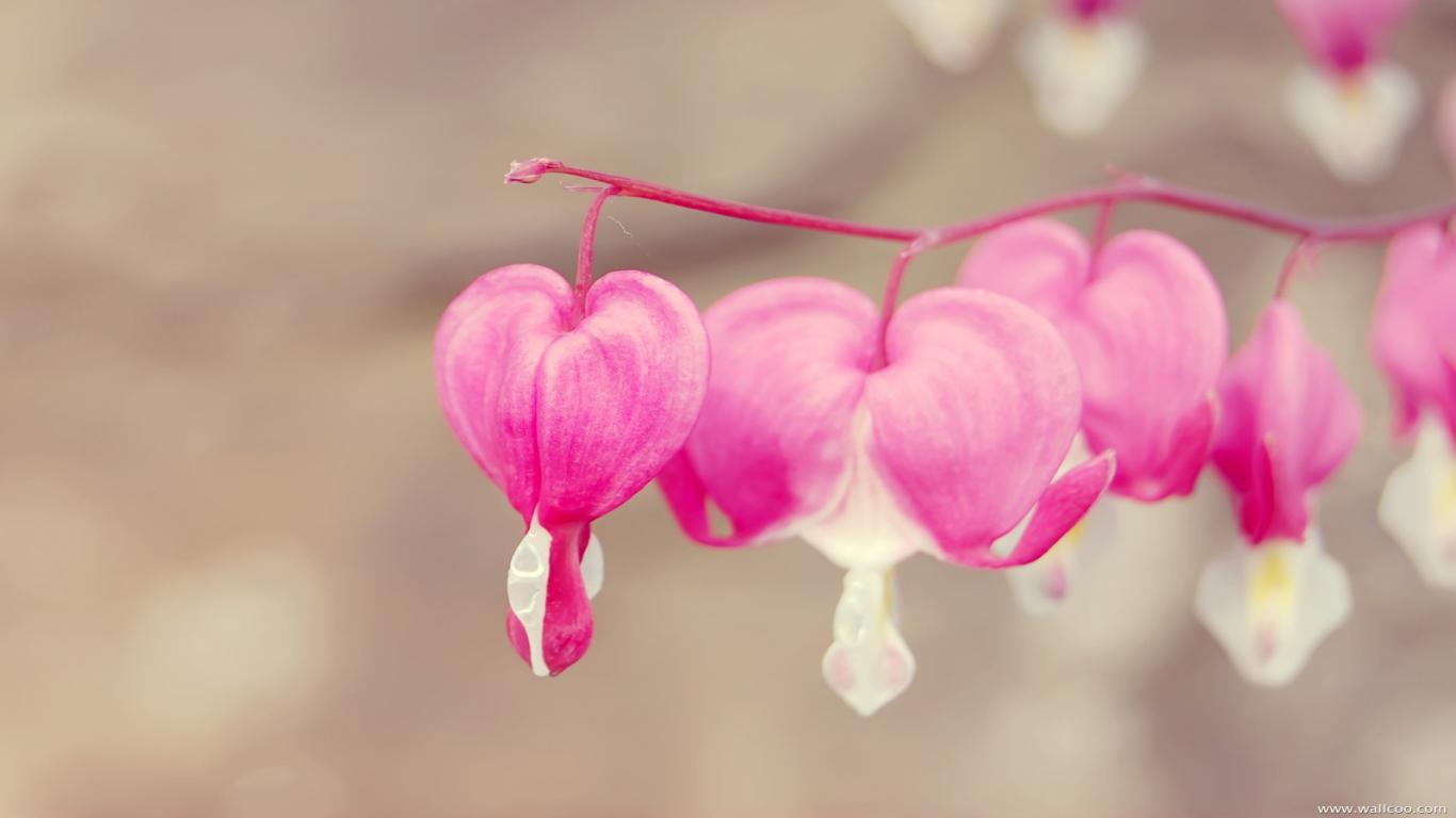 TipsForSingles's profile banner image