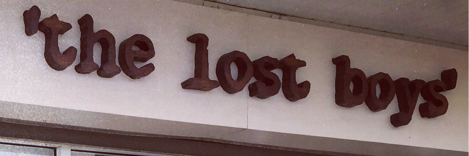 thelostboysclee's profile banner image