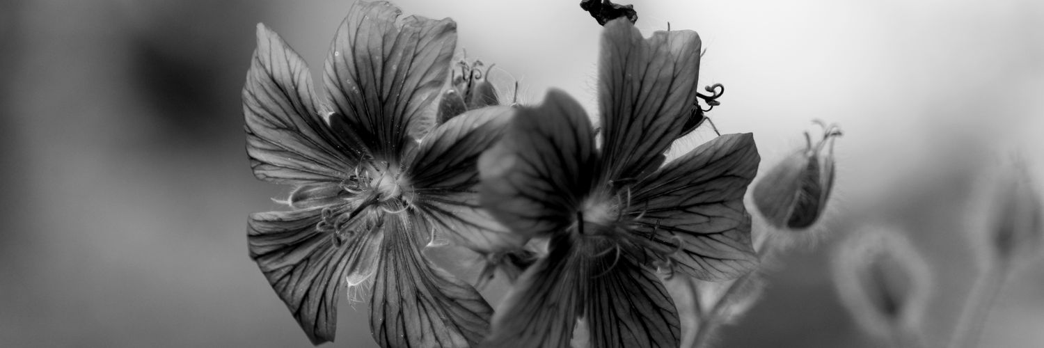 Matthias Schwarz banner