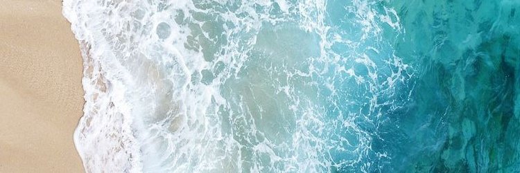 Nerea_Alonso22's profile banner image