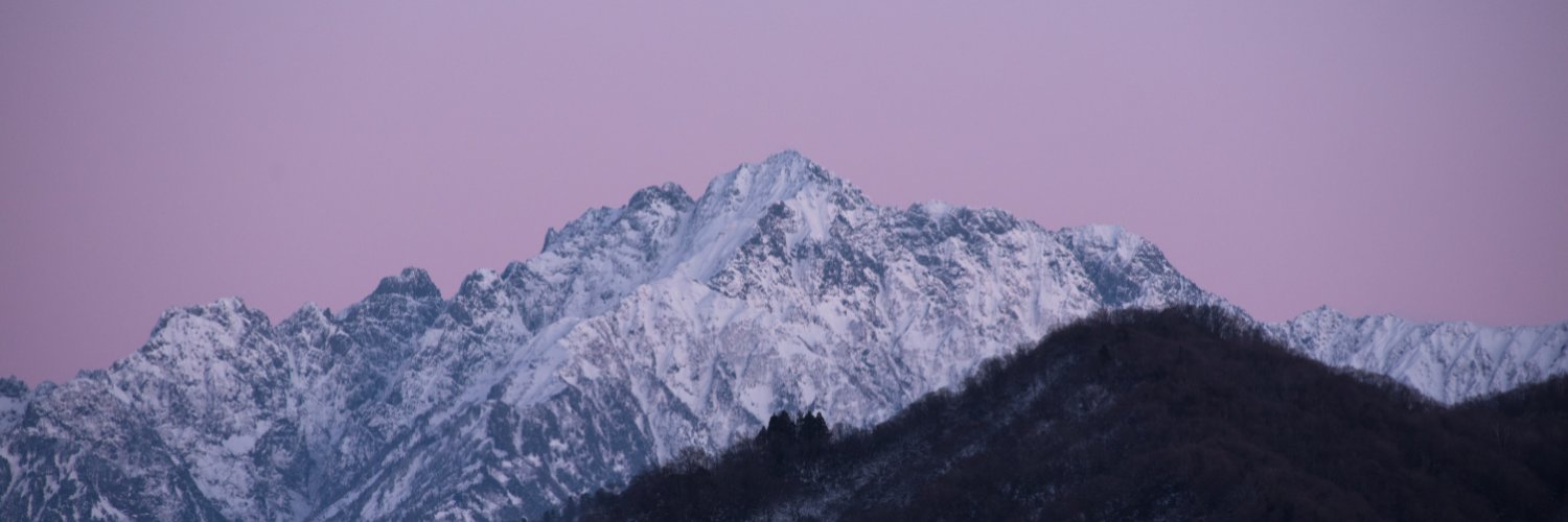 araigosaro's profile banner image